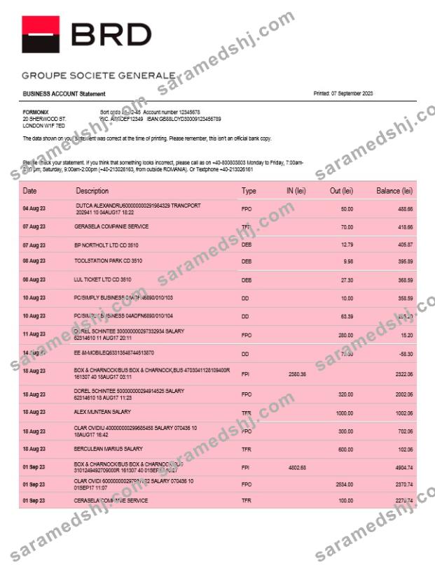 BRD Bank organization account statement Word and PDF template